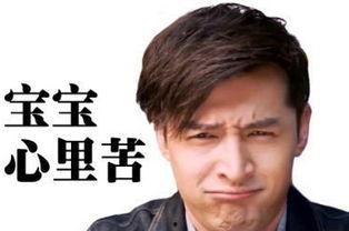 霍建华的表情包,笑出腹肌的瞬间